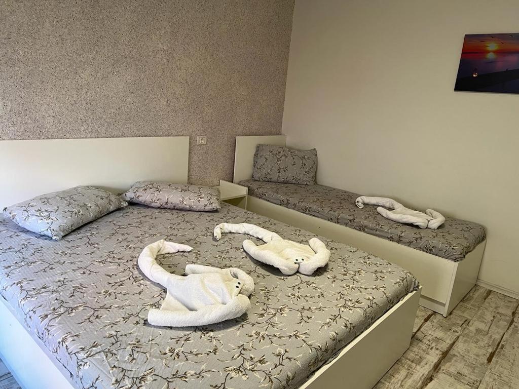 Amalya Otel Köstence Dış mekan fotoğraf